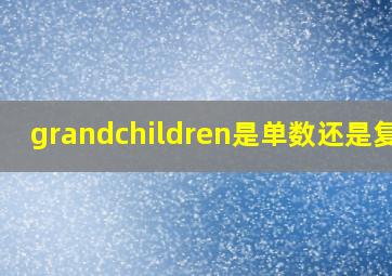 grandchildren是单数还是复数