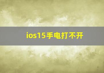 ios15手电打不开