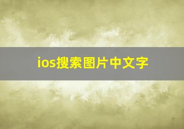 ios搜索图片中文字