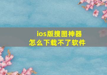 ios版搜图神器怎么下载不了软件