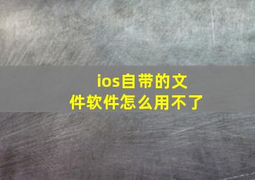 ios自带的文件软件怎么用不了