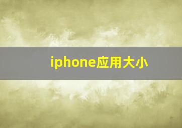 iphone应用大小