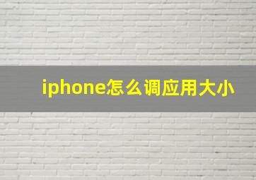 iphone怎么调应用大小