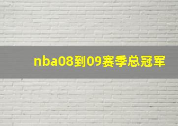 nba08到09赛季总冠军