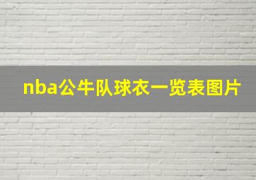 nba公牛队球衣一览表图片