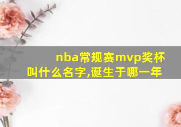 nba常规赛mvp奖杯叫什么名字,诞生于哪一年