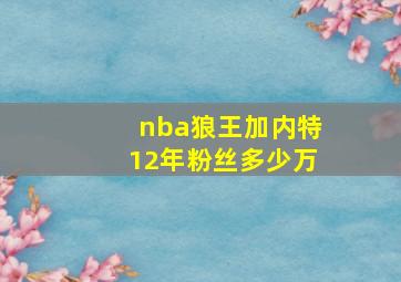 nba狼王加内特12年粉丝多少万