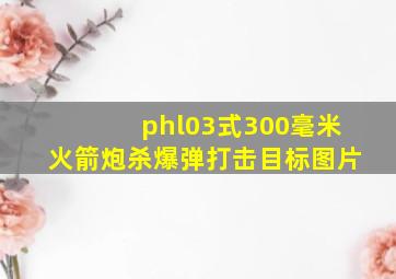 phl03式300毫米火箭炮杀爆弹打击目标图片