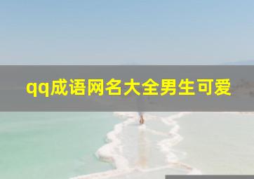 qq成语网名大全男生可爱