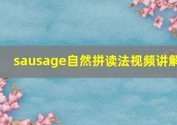 sausage自然拼读法视频讲解