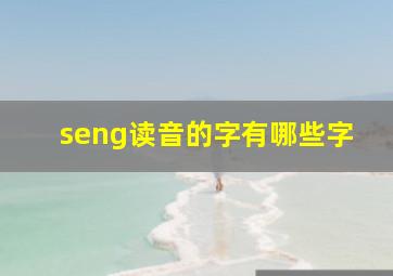 seng读音的字有哪些字