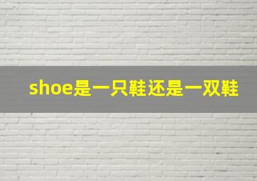 shoe是一只鞋还是一双鞋