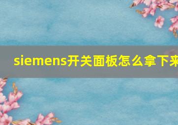 siemens开关面板怎么拿下来