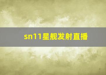 sn11星舰发射直播