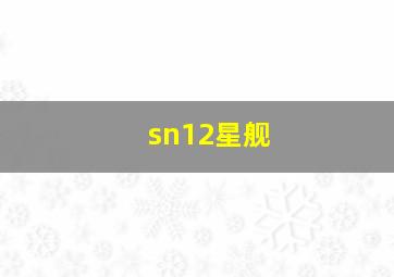 sn12星舰