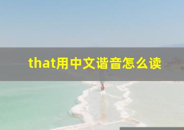 that用中文谐音怎么读