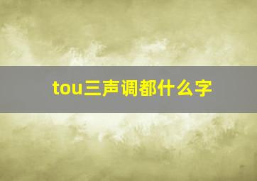 tou三声调都什么字