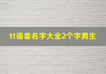 tt语音名字大全2个字男生