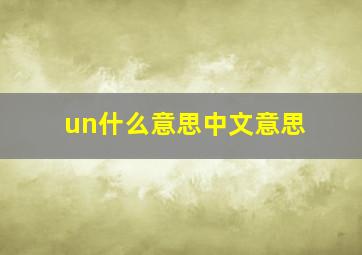 un什么意思中文意思