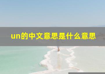 un的中文意思是什么意思