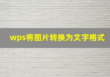 wps将图片转换为文字格式