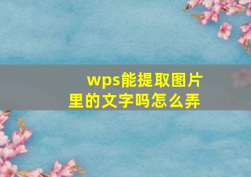 wps能提取图片里的文字吗怎么弄