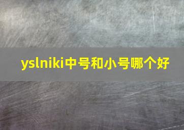 yslniki中号和小号哪个好