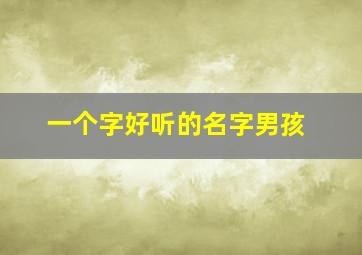 一个字好听的名字男孩