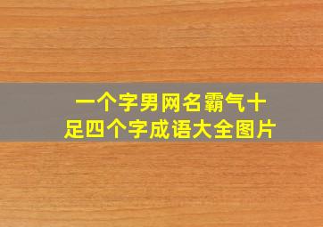 一个字男网名霸气十足四个字成语大全图片