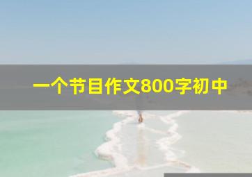 一个节目作文800字初中