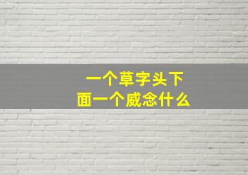 一个草字头下面一个威念什么