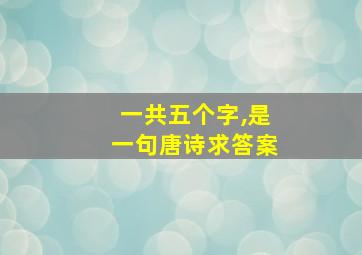 一共五个字,是一句唐诗求答案