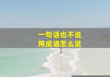 一句话也不说用成语怎么说