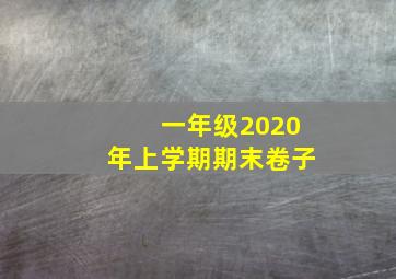 一年级2020年上学期期末卷子