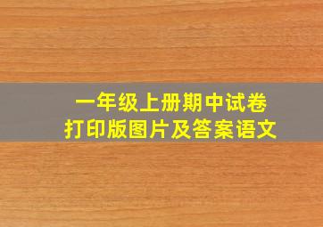 一年级上册期中试卷打印版图片及答案语文