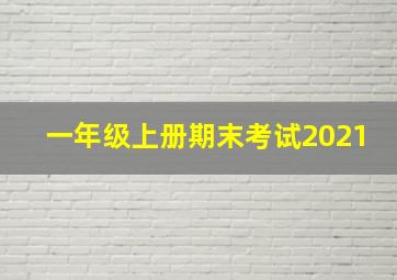 一年级上册期末考试2021