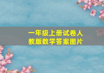 一年级上册试卷人教版数学答案图片