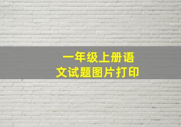 一年级上册语文试题图片打印