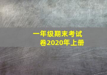 一年级期末考试卷2020年上册