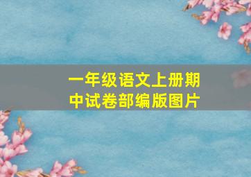 一年级语文上册期中试卷部编版图片