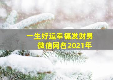 一生好运幸福发财男微信网名2021年