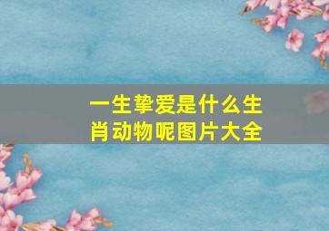 一生挚爱是什么生肖动物呢图片大全