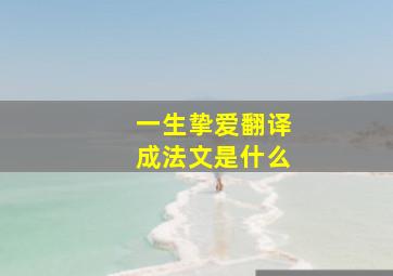 一生挚爱翻译成法文是什么