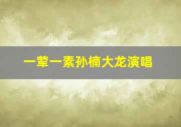 一荤一素孙楠大龙演唱