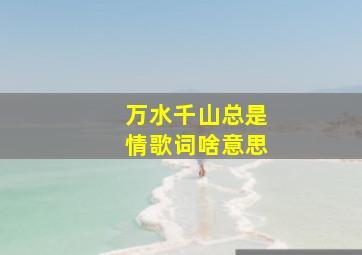 万水千山总是情歌词啥意思