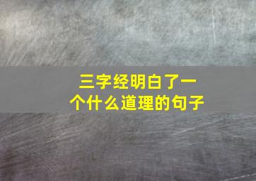 三字经明白了一个什么道理的句子