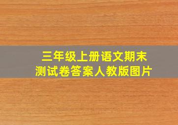 三年级上册语文期末测试卷答案人教版图片