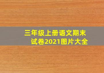 三年级上册语文期末试卷2021图片大全