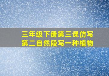 三年级下册第三课仿写第二自然段写一种植物