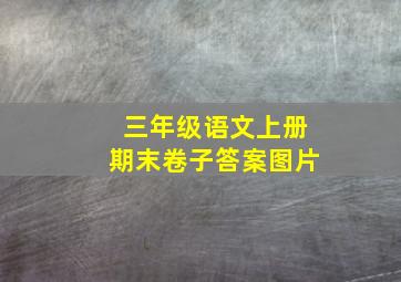 三年级语文上册期末卷子答案图片